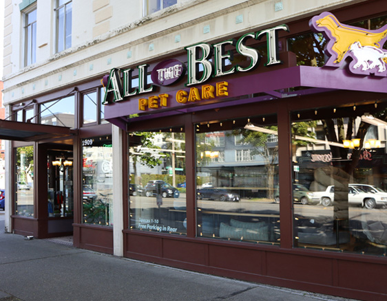 Best pet store in Ballard All The Best Pet Care